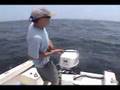 YouTube - Cobia 6-14-08