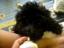 Ace with treats