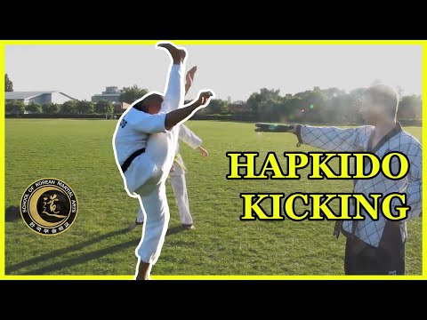 Hapkido Kicks (SKMA Hapkido London) See video