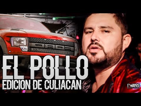 El Pollo - La Edición de Culiacan