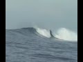 Giant Surf at Wilkes