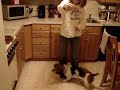 dance for pepperoni