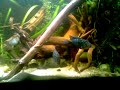 VIDEO0002.mp4