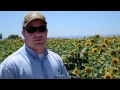 Garrett from Pioneer Hi-Bred International