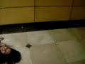 Cabezazo a pared