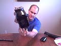 Pinokio Hopper Review
