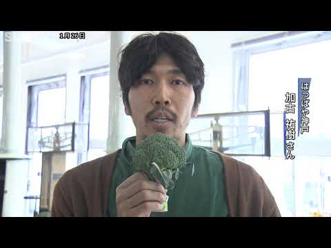 動画