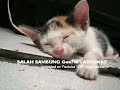 Salah satu episode Salah Sambung, judulnya: Advokat :)Maaf, cuma suara aja.. soalnya ini acara radio.. be a Fan then 'Rock' your friend~ :)Bukan bermaksud menyudutkan siapa2, tp semua ini hanya sebagai komedi aja, so Brighten Up your day with a Smile ;)