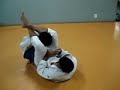 Jiu-Jitsu - Treino na academia