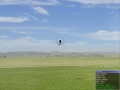 T-Rex 600 3D Aerofly T-Rex 600 3D Aerofly