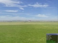 T-Rex 600 3D Aerofly