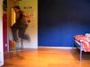 jumpen+ stampjumpen