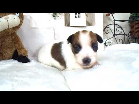 YouTube Preview Image