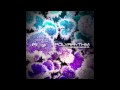 D Tonias Lunatics Video and Lyrics