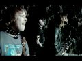 Wolf - Moonlight Wolf - Moonlight