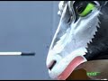 M�w M�w \"live at Midi festival \" 2005