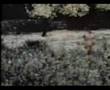 Marx Boss Burg Bigfoot Film