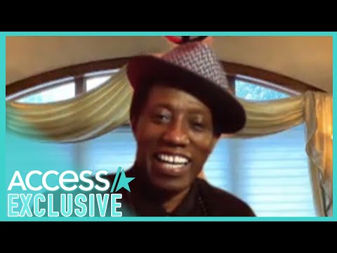 Wesley Snipes Says A Fan Inspired Him Not To Quit Movies