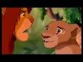 Lion King 300.