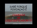 LIQUIDIFICADOR ON