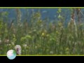 L'AGRITURISMO TERRA DI CASA TUA