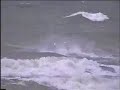 Zapcat Blast