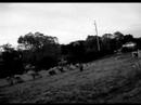 Sounds of Silence