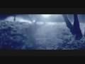 Amon Amarth - Cry of the Black Birds