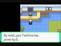 videos de Let's Play Pokemon Emerald 23- 100% = Normal, 150% = Jazzy!!!