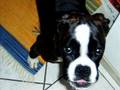 Ivy`s Babyvideoclip