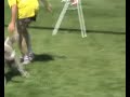 ikita à montélimar