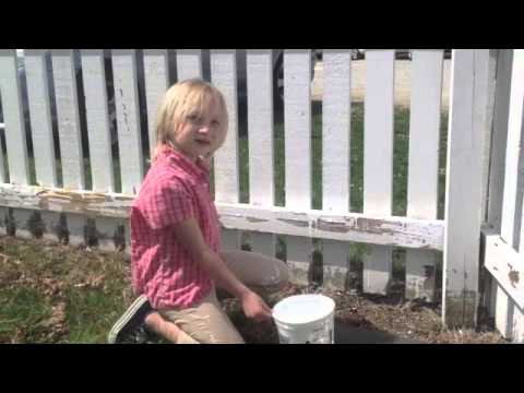 Wellness House - Paint The Fence