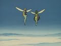 sailor moon classic soldiers die part 3