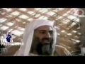 swan fyahbwoy politics