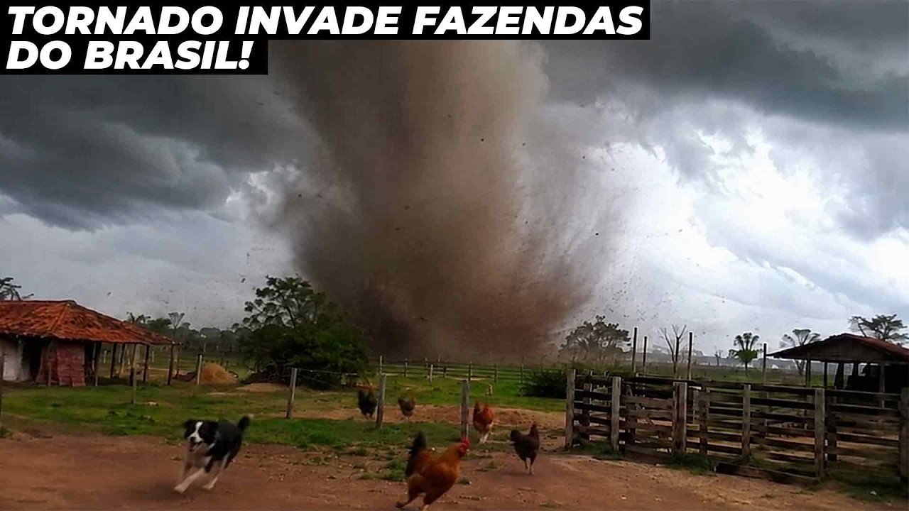 Produtor rural grava tornado invadindo fazenda e pegando animais