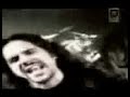 A.N.I.M.A.L -  Esperando el final