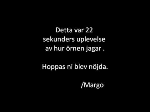 FÄgel-jakten XD