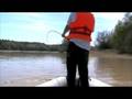 videos de Siluro 204 cm.