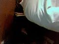 Autofellatio Autofellatio