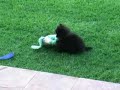 Bello play with soft toy