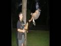 videos de nocturno