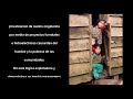 tortura a niños mapuche