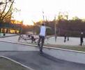alfi media