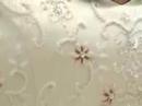 Bridal Video