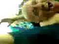 Gol de Lolo con el Malaga en la curba Malaka