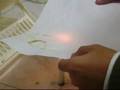 videos de TINTA INVISIBLE