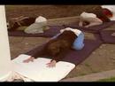 Restorative Yoga Videos DVDs : Adho Mukha Virasana, Downward Facing Hero