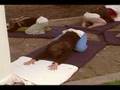 Restorative Yoga Videos DVDs : Adho Mukha Virasana, Downward Facing Hero