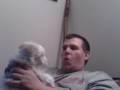 videos de The banshee dog