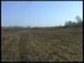 videos de Hunting dogs. Охотничьи собаки.